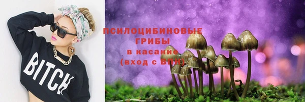 герыч Абаза