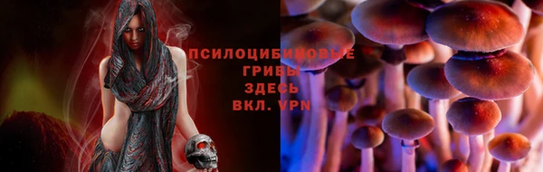 ECSTASY Абинск